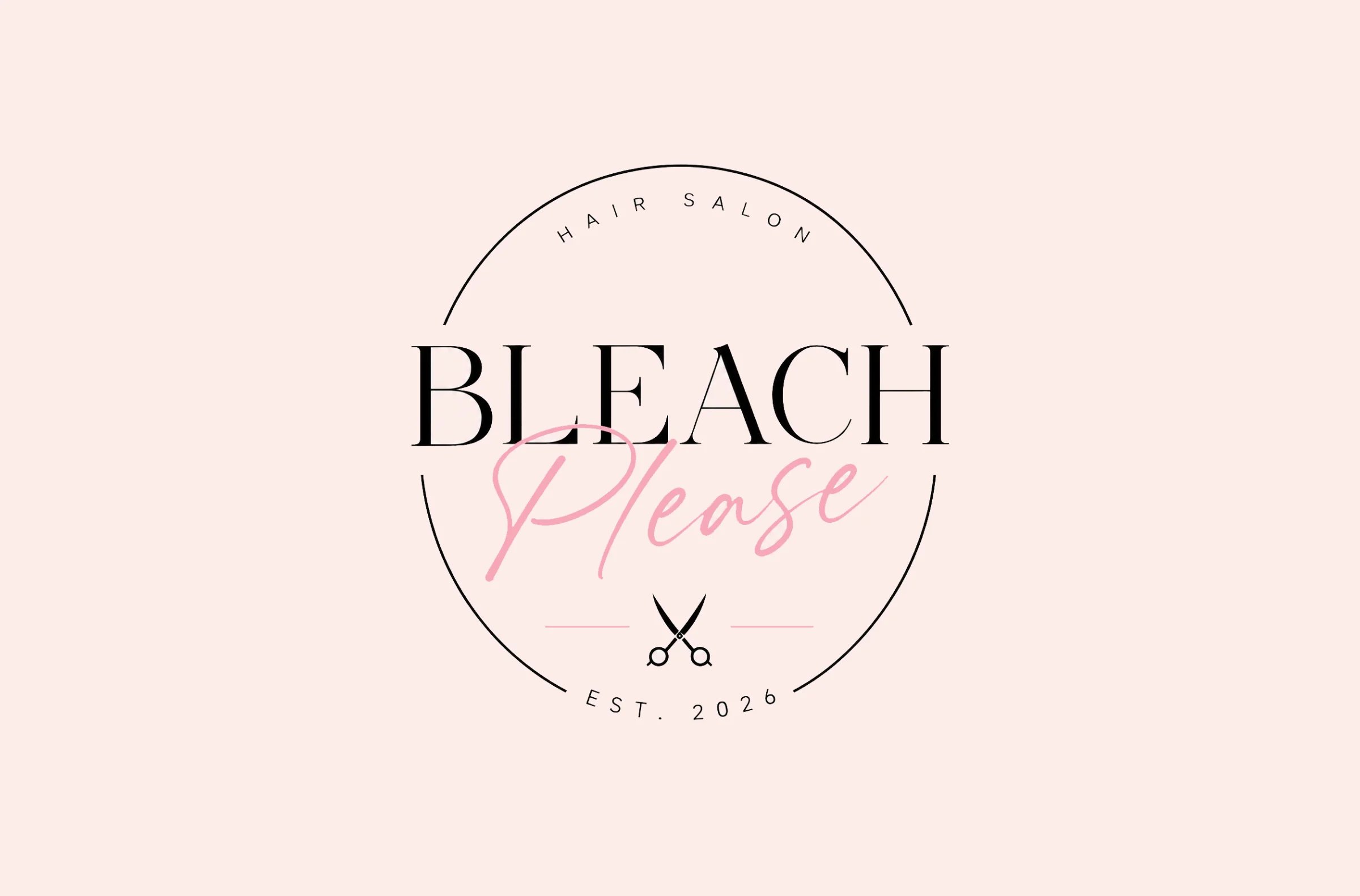bleach please
